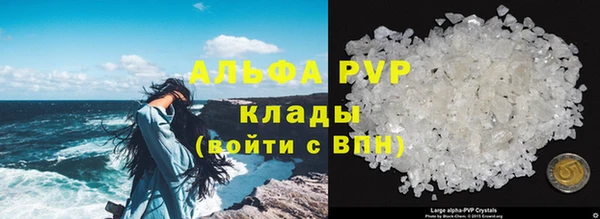 крисы Арсеньев