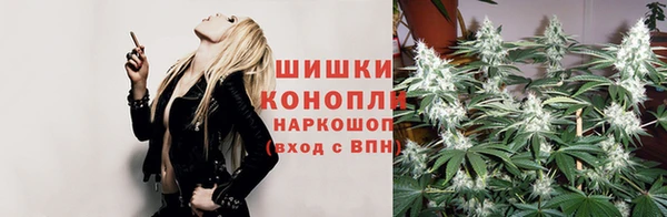ешки Аркадак