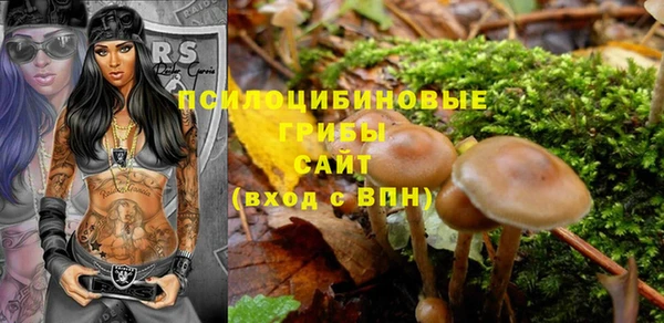 крисы Арсеньев