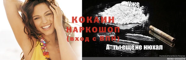 ешки Аркадак