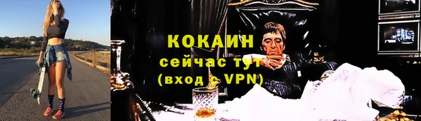 ешки Аркадак
