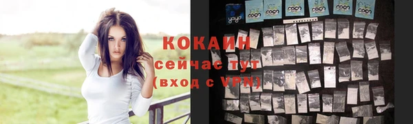 крисы Арсеньев