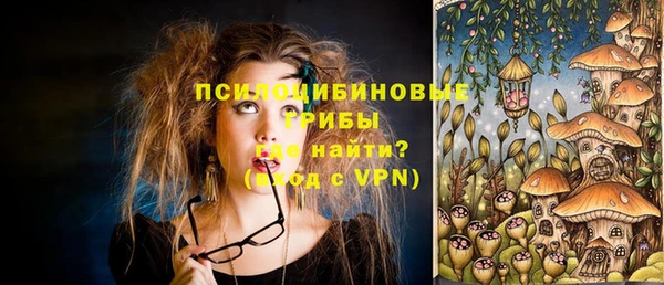 apvp Армянск