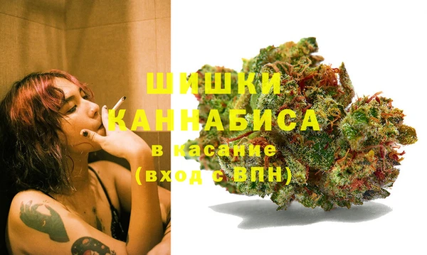 ешки Аркадак