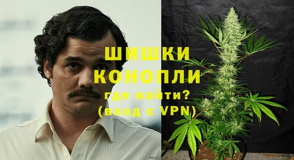 ешки Аркадак