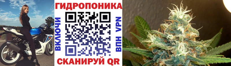 Каннабис Amnesia  гидра рабочий сайт  darknet клад  Белая Холуница 